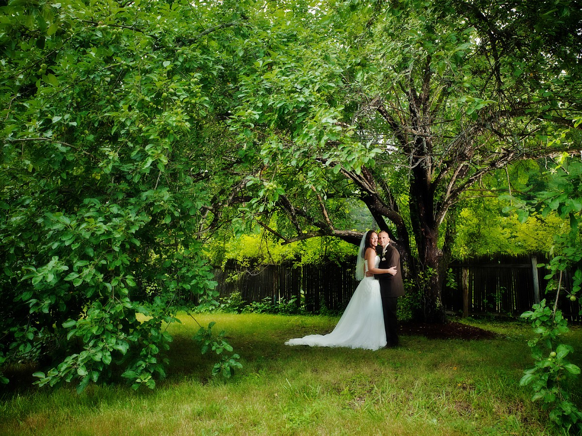 Wedding-Bridal-Portrait-Backyard-Wedding-Willow-Tree.jpg